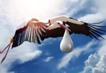 Een goede vruchtbaarheid via een gezond lichaam Vruchtbaarheid